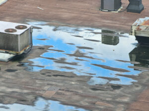 ponding water on warehouse roof - signs of roof damage