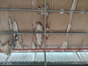signs of roof damage in a warehouse